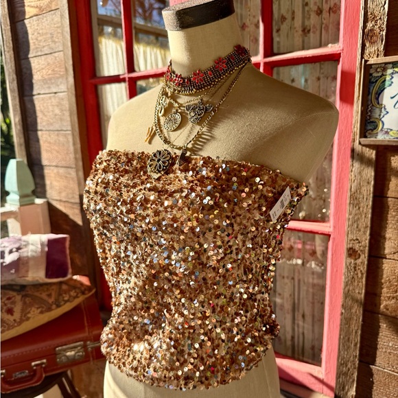 Anthropologie Tops - Anthropologie Sequin Tube Top